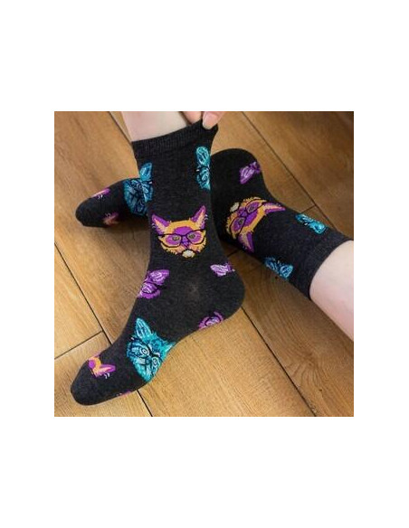 Chaussettes chats délire binocles