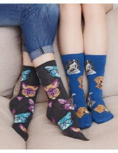 coffret Chaussettes chiens et Chats