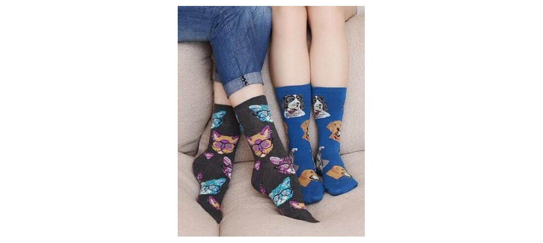 coffret Chaussettes chiens et Chats