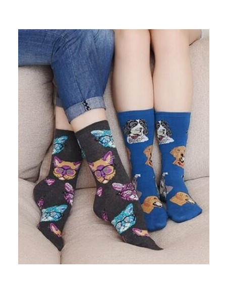 coffret Chaussettes chiens et Chats