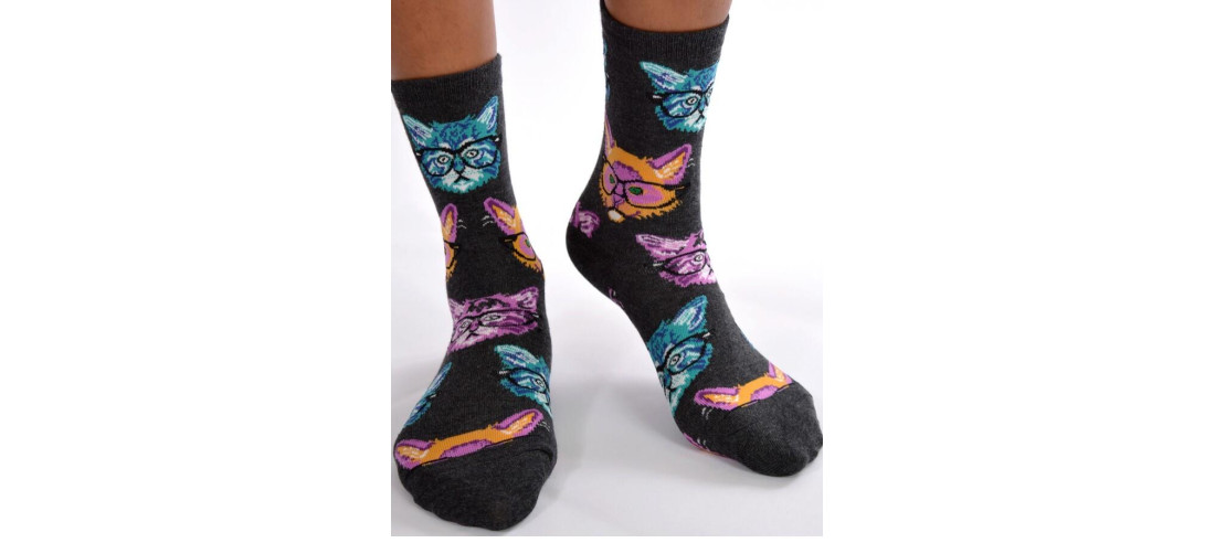 coffret Chaussettes chiens et Chats