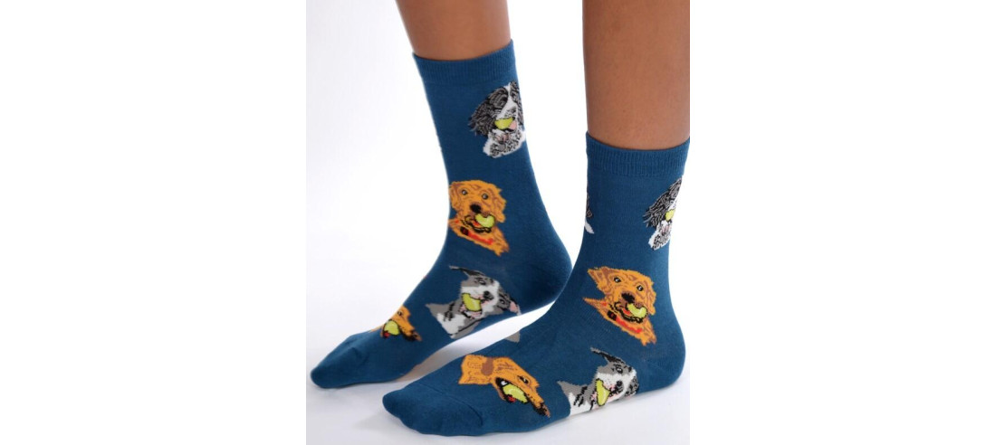 coffret Chaussettes chiens et Chats