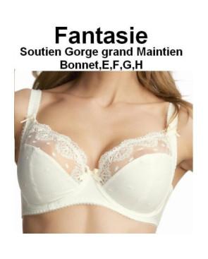  Soutien Gorge Classique Fantasie Samantha