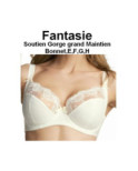 Soutien Gorge Classique Fantasie Samantha