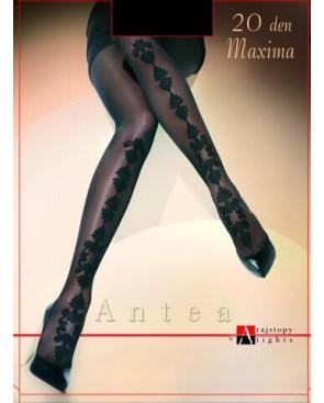 Collant Maxima Colonne de fleurs Adrian