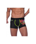 Boxer E Go Hom David