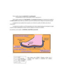 Chaussons Berthe Long Joncquille