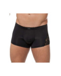 Boxer Hom temptation shah