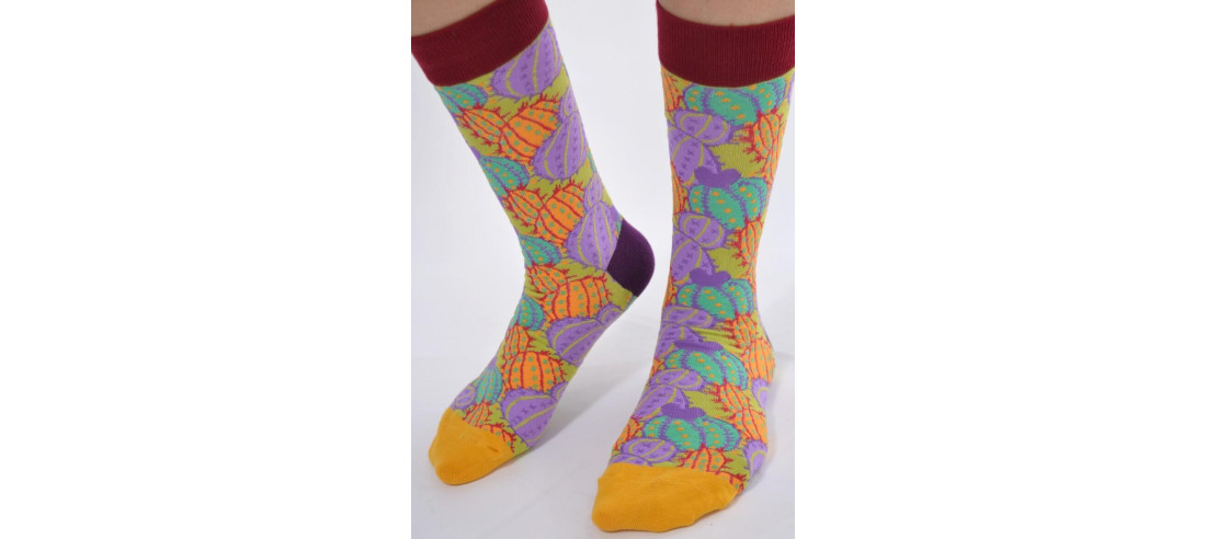 Chaussettes coton fantaisie Cactus délire