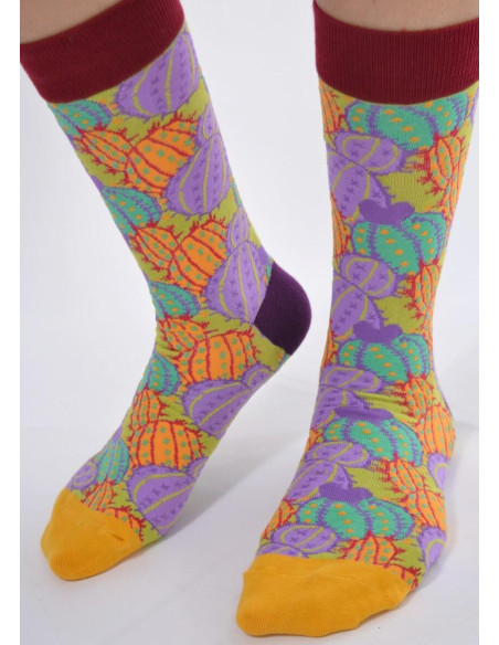 Chaussettes coton fantaisie Cactus délire