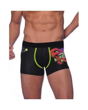 Boxer E Go Hom David