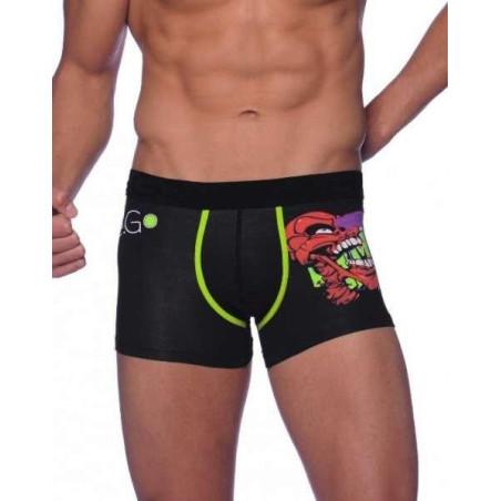 Boxer E Go Hom David
