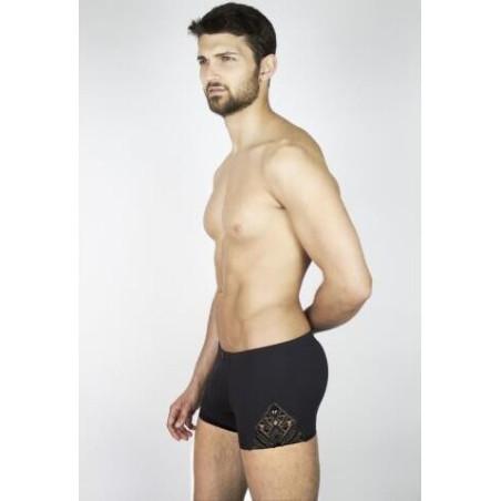 Boxer Hom temptation shah