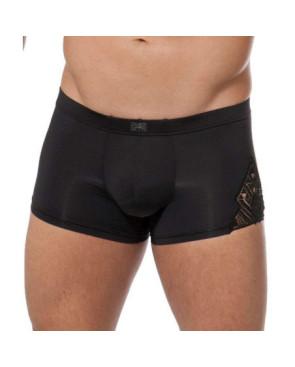  Boxer Hom temptation shah