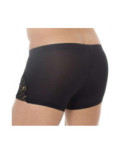Boxer Hom temptation shah