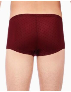 Boxer Hom Plume arabesque 2