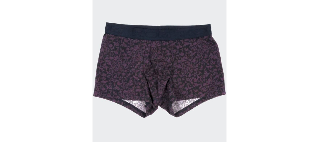 Boxer en modal tendance tribale Hom