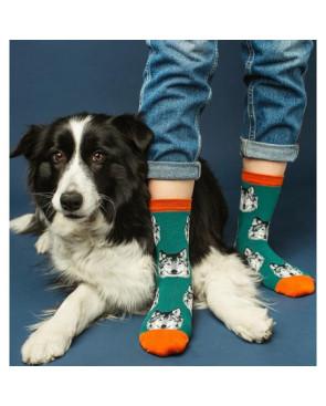 Chaussettes délire chien loup