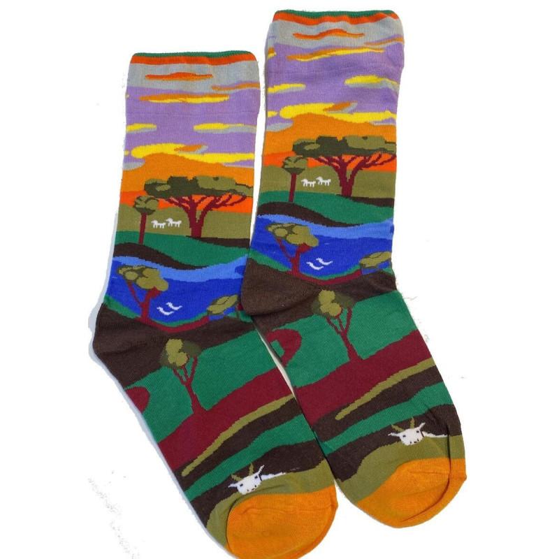 Chaussettes Payasage Grands Lacs et Baobabs