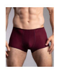 Boxer Plume de couleur de saison