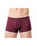 Boxer Plume de couleur de saison