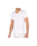 T shirt col V Classique Hom Modal T shirt col V Classique Hom Modal