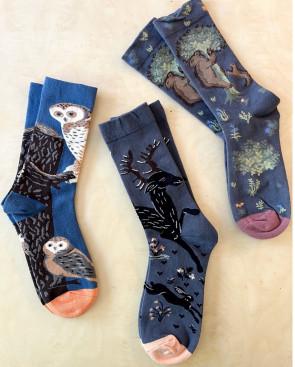 Chaussettes-Les-petits-caprices-L-ours-la-chouette-la-chevaleresse