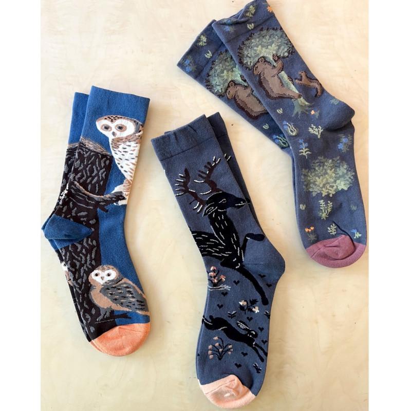 Coffret de 3 paires de chaussettes dans la forêt fantastique