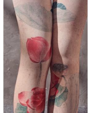 Collant-imprimé-Leopoldo-Caprices-Bouquet-de-roses-imprimé-détail-avant