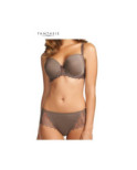 Boxer Eclipse Fantasie
