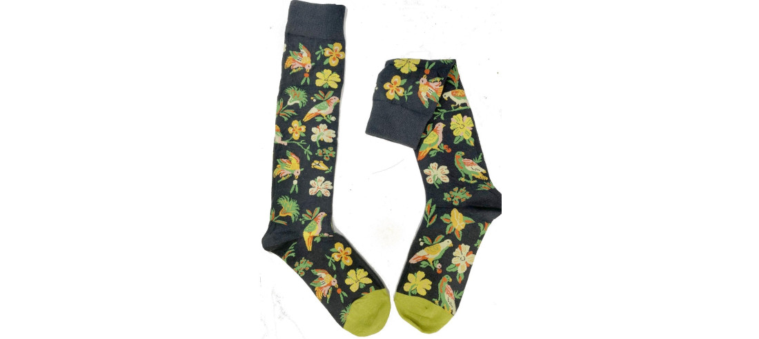 Mi bas oiseaux de feux  Perruches et branches fleuries