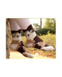 Chaussettes Chats des prés rigolos
