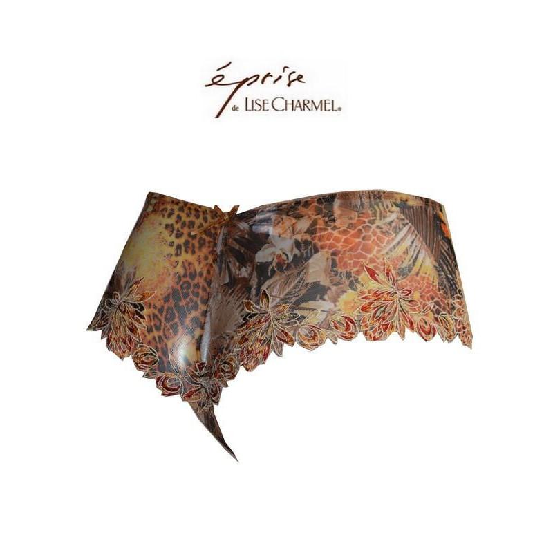 Boxer Eprise de Lise Charmel Tanganika