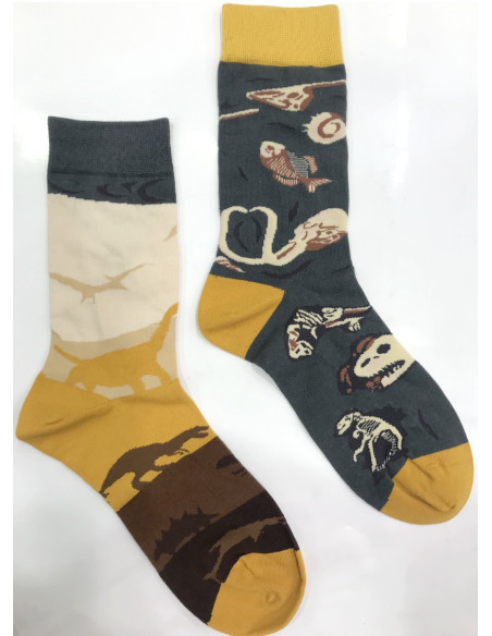 chaussettes-LPC-Dinosaure-préhistoire-fossile-asymétrique