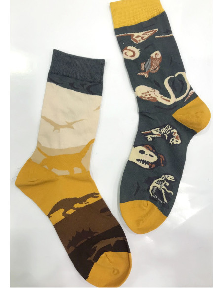 chaussettes-LPC-Dinosaure-préhistoire-fossile-asymétrique