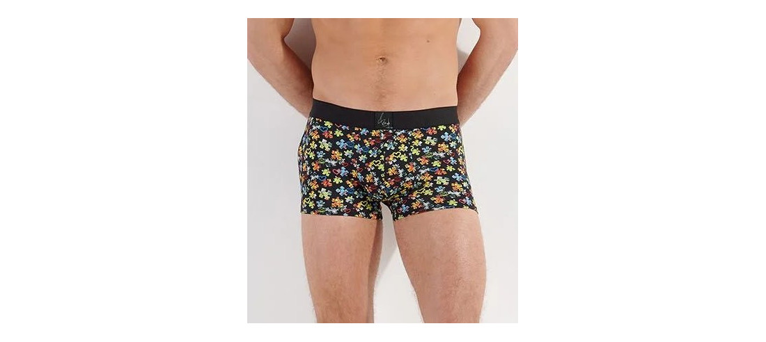 Boxer-Hom-puzzled-motif-entier