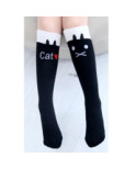 Mi bas  love cat noir