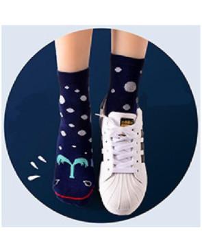  Coffret de Chaussettes baleine