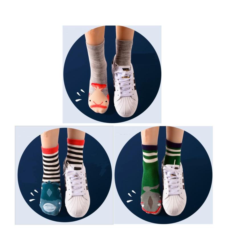 Coffret de Chaussettes poissons marins rayures