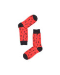 Duo de Chaussettes ludique notes et cartes