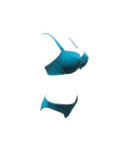 Bikini classique Empreinte Regate Caraibes