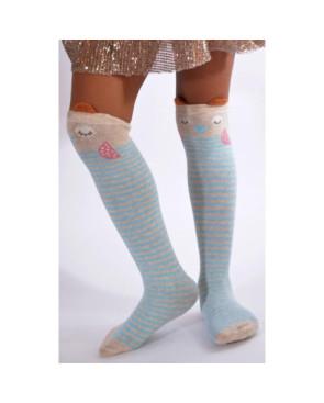  Chaussette chouettes rigolotes
