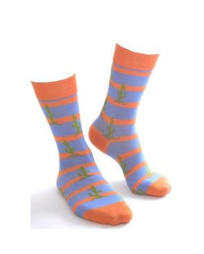  Chaussettes Cactus