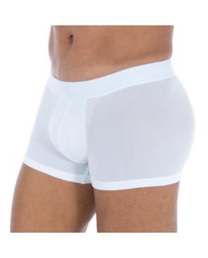 Boxer Hom Temptation Mesh