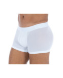 Boxer Hom Temptation Mesh