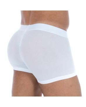 Boxer Hom Temptation Mesh