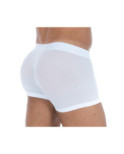 Boxer Hom Temptation Mesh