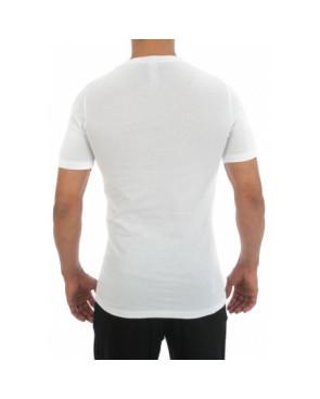 Lot de 2 T Shirt col V Pur Coton Hom