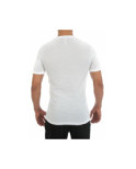 Lot de 2 T Shirt col V Pur Coton Hom