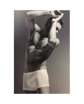 Boxer Hanro Sporty pur Coton